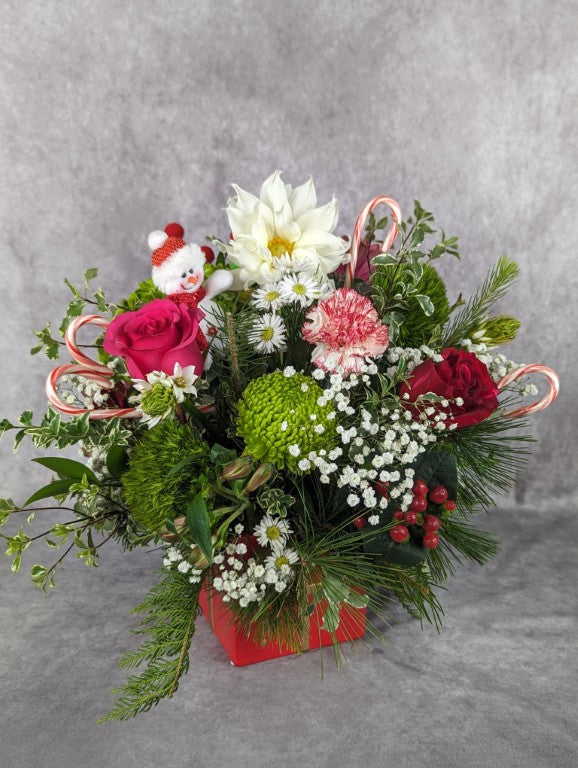 Christmas Holiday Designer's Choice