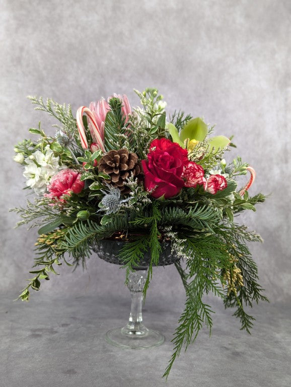 Christmas Holiday Designer's Choice