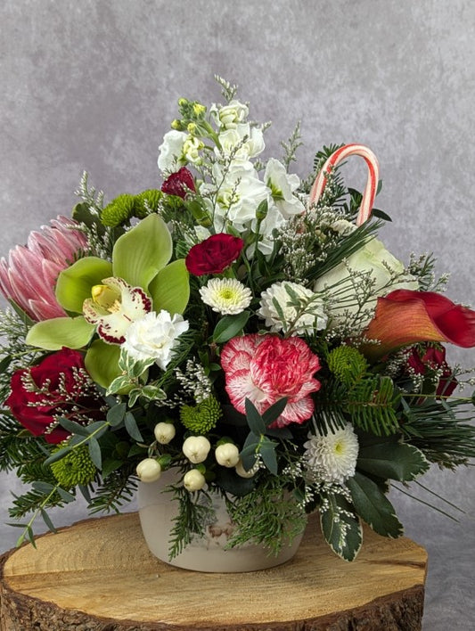 Christmas Holiday Designer's Choice